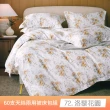 【貝兒居家寢飾生活館】60支100%蘭精萊賽爾天絲兩用被床包組 裸睡系列A款(特大雙人/多款任選) 涼被/冷氣毯
