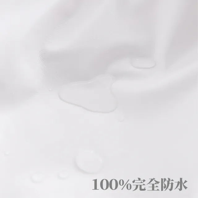 【EverSoft 寶貝墊】Nano銀離子抗菌 萌寵物必備 100%防蟎防水透氣雙效合一床包式保潔墊(單人加大105x190cm)