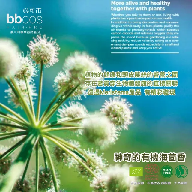 【bbcos 必可市】永恆豐髮無限煥活精華(6mlX6支;有機;天然認證成分;極精萃精華;髮根強健;豐厚蓬鬆首選)