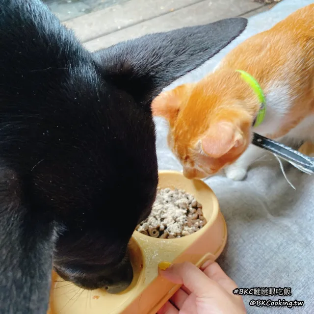 【三個寶】毛孩營養師 心血管護理 寵物保健粉 50g