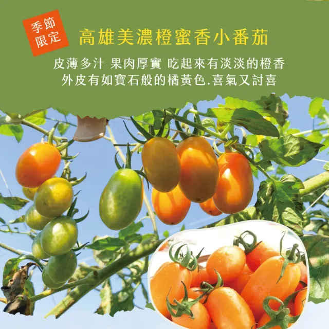 【初品果】美濃達哥雙色橙蜜香小番茄3斤x4盒(紅蜜+橙蜜_產銷履歷_年節禮盒)