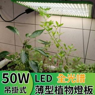 【JIUNPEY 君沛】LED50W薄型植物燈板 50瓦吊掛式植物燈 仿日照陽光植物燈全光譜 高演色舒適光(植物燈)