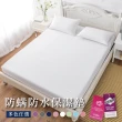 【DeKo岱珂】買一送一 台灣製 3M護理級100%防水床包式保潔墊  吸濕排汗 透氣 防水(單/雙/加 均一價)