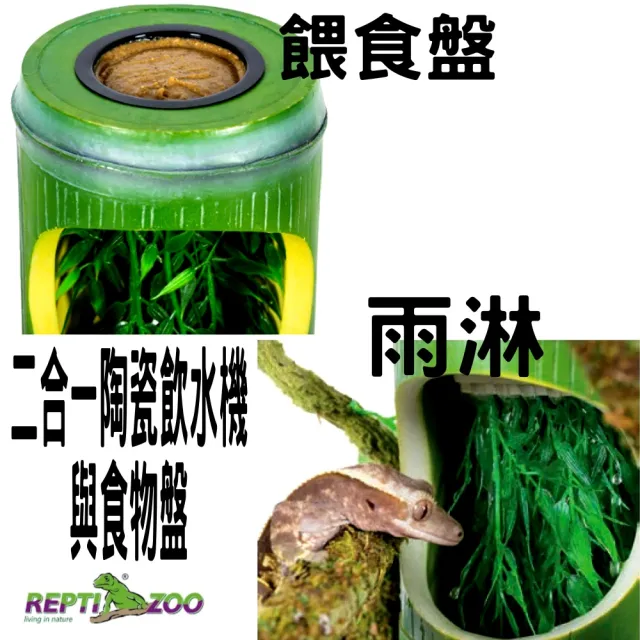 【REPTIZOO 瑞普】爬蟲泉水器 竹子型/飲水器/餵水器/變色龍/睫角守宮/樹蛙(飲水機.食物盤ADF02/REPTI ZOO)