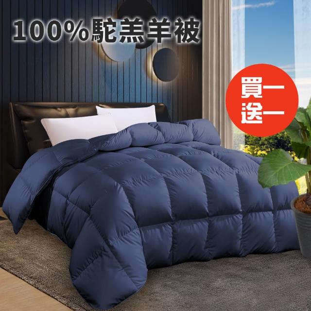 【三浦太郎】尊爵藍舒眠100%駝羔羊被2.5Kg/買一送一(被子/棉被/羊毛被/保暖被)
