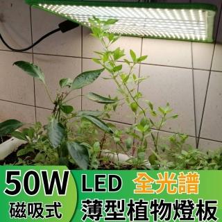 【JIUNPEY 君沛】LED50W薄型植物燈板 50瓦磁吸式植物燈 仿日照陽光植物燈全光譜 高演色舒適光(植物燈)