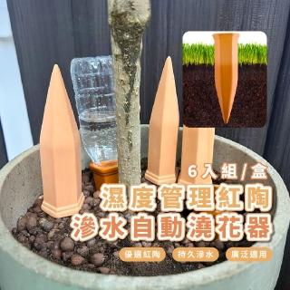 【外出無憂】濕度管理紅陶滲水自動澆花器-6支入(滴水器 澆水器 多肉 園藝 植物盆栽 灑水 懶人澆水工具)
