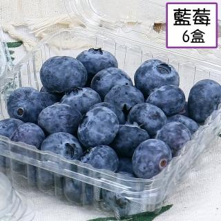 【愛蜜果】秘魯/智利 藍莓X6盒(約125g/盒)