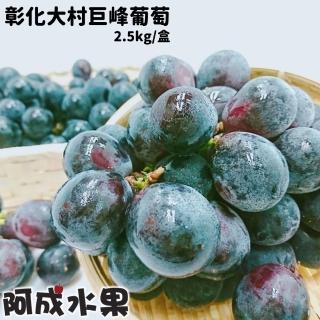 【阿成水果】彰化大村巨峰葡萄2.5kgx1盒(甜度高 冷藏配送)