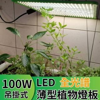 【JIUNPEY 君沛】LED100W薄型植物燈板 100瓦吊掛式植物燈 仿日照陽光植物燈全光譜 高演色舒適光(植物燈)