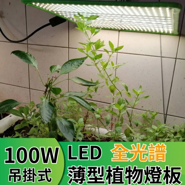 【JIUNPEY 君沛】LED100W薄型植物燈板 100瓦吊掛式植物燈 仿日照陽光植物燈全光譜 高演色舒適光(植物燈)
