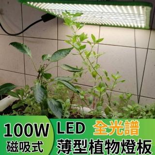 【JIUNPEY 君沛】LED100W薄型植物燈板 100瓦磁吸式植物燈 仿日照陽光植物燈全光譜 高演色舒適光(植物燈)