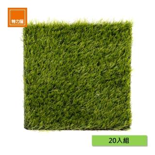 【特力屋】20入組 拼接踏板 人造草皮 30x30cm