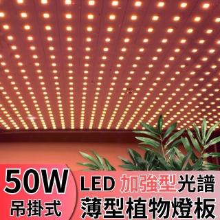 【JIUNPEY 君沛】LED50W薄型植物燈板 50瓦吊掛式植物燈 加強型光譜 強化植物莖葉發展(植物燈)