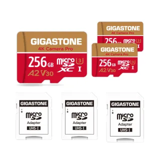 【GIGASTONE 立達】4K Camera Pro microSDXC UHS-Ⅰ U3 A2V30 256GB攝影高速記憶卡-3入組(GoPro/DJI)