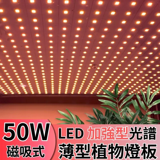 【JIUNPEY 君沛】LED50W薄型植物燈板 50瓦磁吸式植物燈 加強型光譜 強化植物莖葉發展(植物燈)