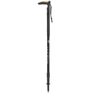 【FIZAN】頂級T字健行手杖 黑(FZS20.7504/登山/爬山/輔助/柺杖/登山杖)