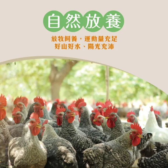 【超秦肉品】文昌雞 放牧飼養雞肉切塊500g *30盒(文昌雞  土雞  生鮮雞肉 雞肉切塊)