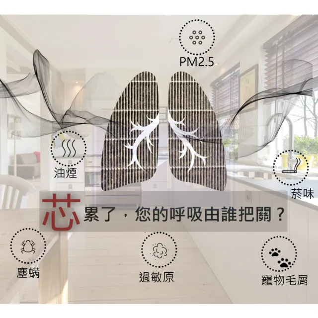 【PUREBURG】2入組-適用Mi/小米/米家B208 輕羽 羽量級 超輕量無線吸塵器高效HEPA濾網濾芯含中間過濾棉