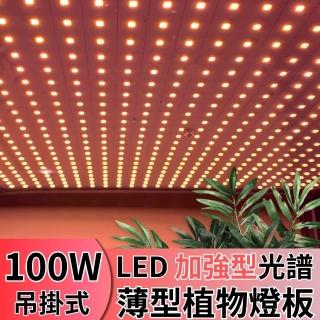 【JIUNPEY 君沛】LED100W薄型植物燈板 100瓦吊掛式植物燈 加強型光譜 強化植物莖葉發展(植物燈)