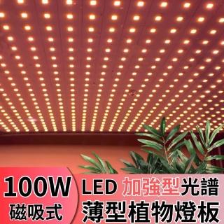 【JIUNPEY 君沛】LED100W薄型植物燈板 100瓦磁吸式植物燈 加強型光譜 強化植物莖葉發展(植物燈)