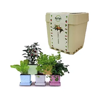 【iPlant】積木小農場_超值4入組(每盆內含種子培養土花器)