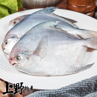 【上野物產】20隻 小白鯧(2隻/包 魚/海鮮/鯧魚)