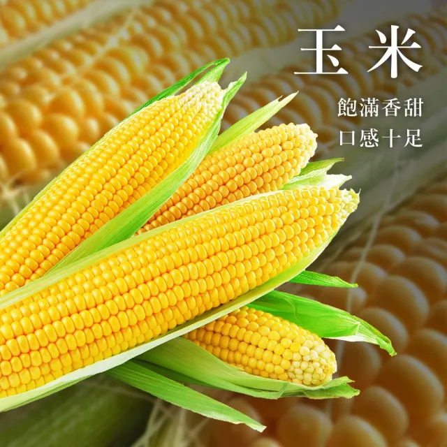【陳記好味】飽滿元寶手工水餃3包共約300顆(高麗菜、韭菜、玉米任選 煎煮/水煮/15分鐘即上桌)