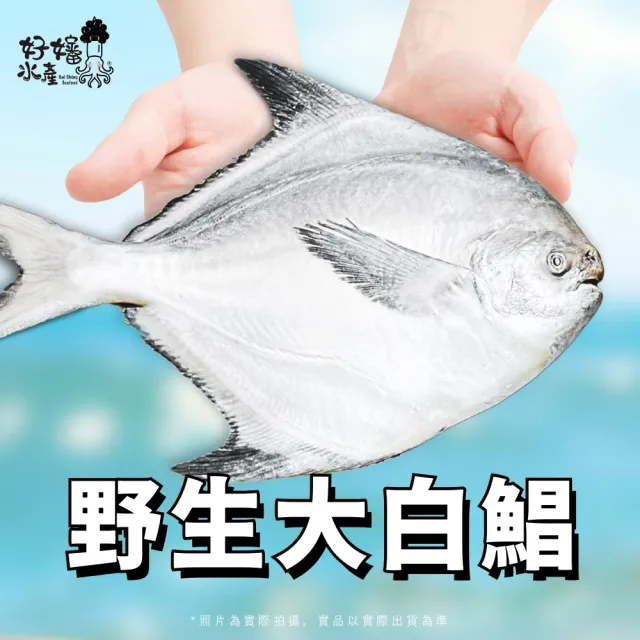 【好嬸水產】新鮮直送-野生白鯧-400G 2入