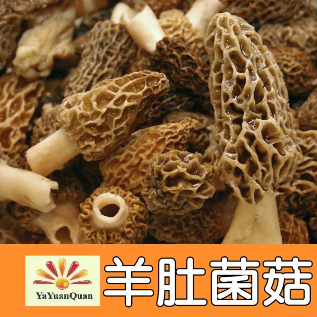 【亞源泉】羊肚菌菇 50g/包 羊肚菌 特級菌菇 2入組(菇中之王)
