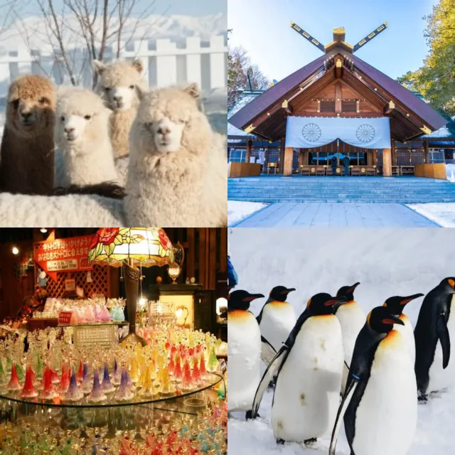 【吉航旅遊】精緻假期北海道富良野玩雪三合一旭川動物園銀河流星瀑布小樽運河溫泉美食五日-泰越捷航空