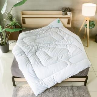 【小老闆寢具】一般版50% 竹碳纖維健康被 雙人180x210cm(自然除臭抗菌 給你健康好眠 冬被 暖被)