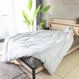 【小老闆寢具】升級版100% 竹碳纖維健康被 雙人180x210cm(自然除臭抗菌 給你健康好眠 冬被 暖被)