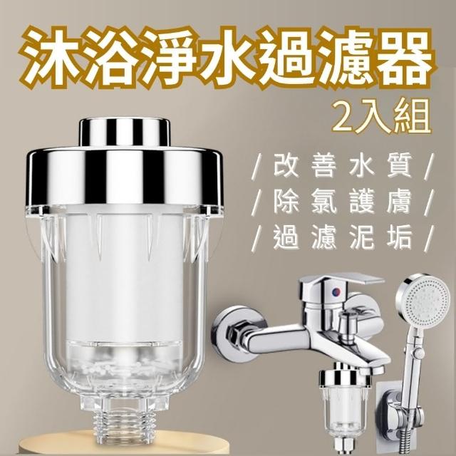 【CHYUNYAO】沐浴淨水過濾器 2入組(改善水質 除氯護膚 過濾泥垢)
