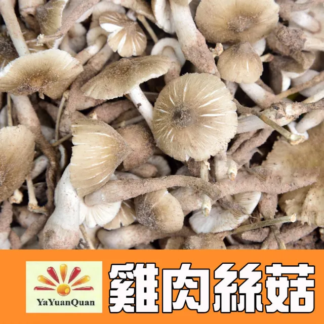 【亞源泉】純野生雞肉絲菇 切片 70g/包 10入組(贈亞源泉系列商品1包)