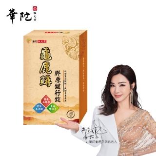 【華陀扶元堂】龜鹿鱘膠原鍵行錠1盒(30錠/盒;陳美鳳代言-二型膠原蛋白/軟骨素/玻尿酸)