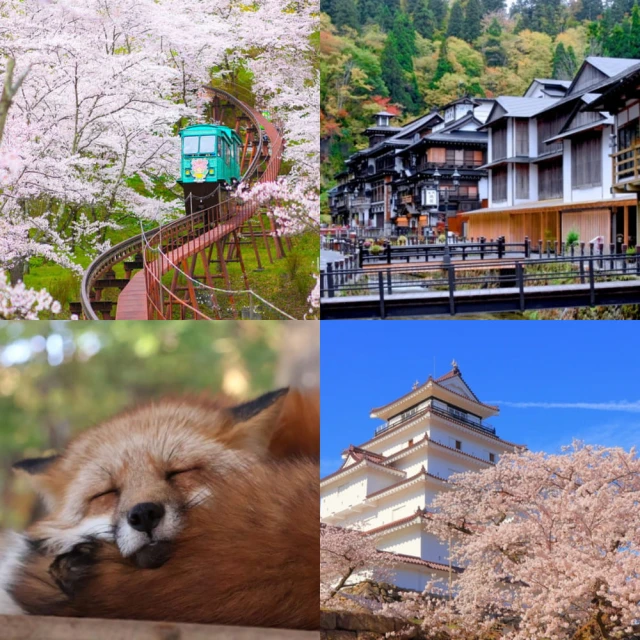 吉航旅遊 冬季京阪神泡湯.嵐山渡月橋.清水寺.神戶異人館+螃
