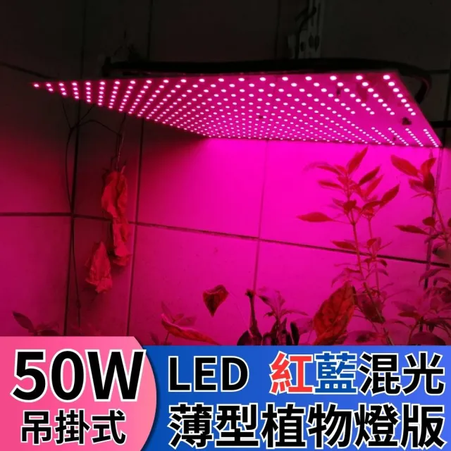 【JIUNPEY 君沛】LED50W薄型植物燈板 50瓦吊掛式植物燈 紅藍混光 專業型光譜(植物燈)