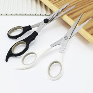 日本進口高階不鏽鋼美髮剪刀X1支+打薄剪刀X1支(美髮剪刀+打薄剪刀)