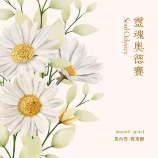 【金革唱片】《Soul Odyssey》靈魂奧德賽-琴聲花語系列(靈魂吉他手 Maneli Jamal)