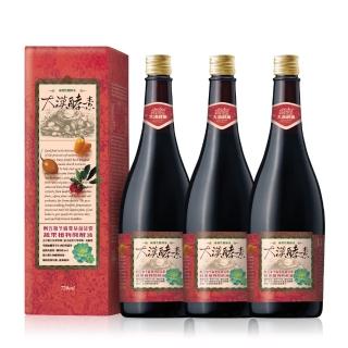 【大漢酵素】刺五加冬蟲夏草菌絲體蔬果植物醱酵液3入組(720ml/瓶)-養生 酵素 補體 紅景天 蔬果精華 全素