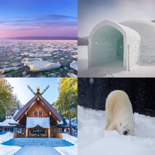 吉航旅遊 精緻假期~高松賞櫻四國秘境+道後溫泉+山陽螃蟹海鮮