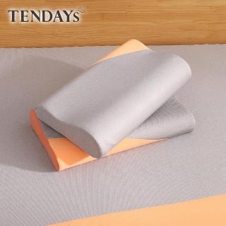 【TENDAYS】玩色柔眠記憶枕 2入組不含贈(霧橙灰 8/10cm任選)