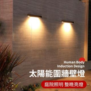 太陽能LED壁掛式照明燈/防水太陽能燈/庭園燈/戶外燈 感應燈(防水LED牆壁燈 雙色 太陽能)