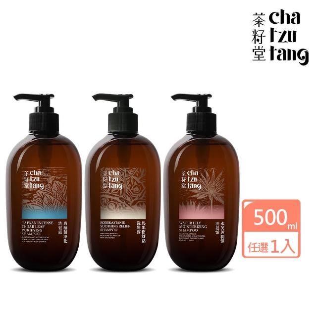 【茶籽堂】大容量 三大香氣植萃洗髮露500mL(肖楠葉淨化/馬栗樹舒活/水芙蓉潤澤)