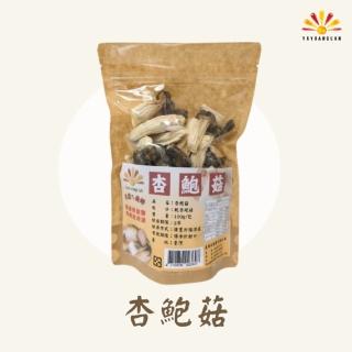 【亞源泉】杏鮑菇 100g/包 乾杏鮑菇 1入組 已含運費(杏鮑菇 味道鮮美 滋味無窮)