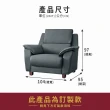 【ASSARI】艾恩單人座貓抓皮獨立筒沙發