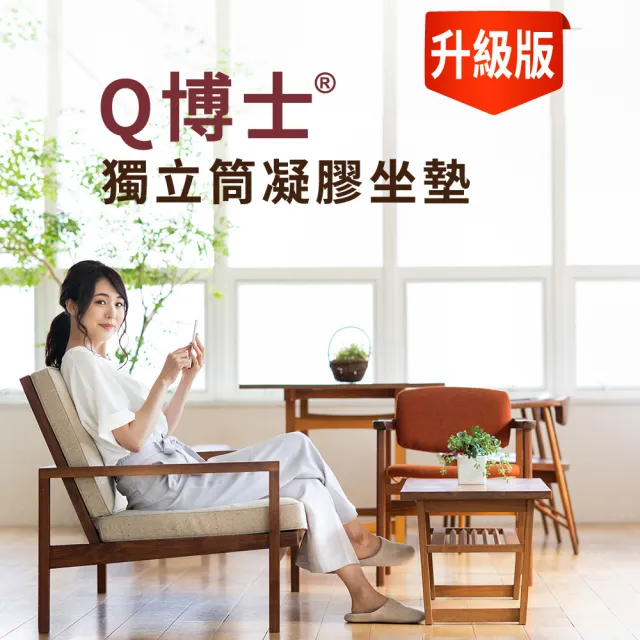 Q博士™獨立筒凝膠坐墊-小