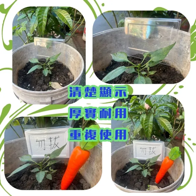 【金德恩】插地透明標示牌(插土立牌 園藝 植物標籤 指示牌 標示插牌 展示牌)
