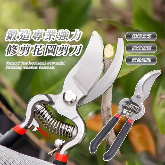 【高效修枝】鍛造專業強力修剪花園剪刀(碳鋼 花園剪 剪枝剪  修剪工具 花木修剪 園藝剪刀 小剪刀)